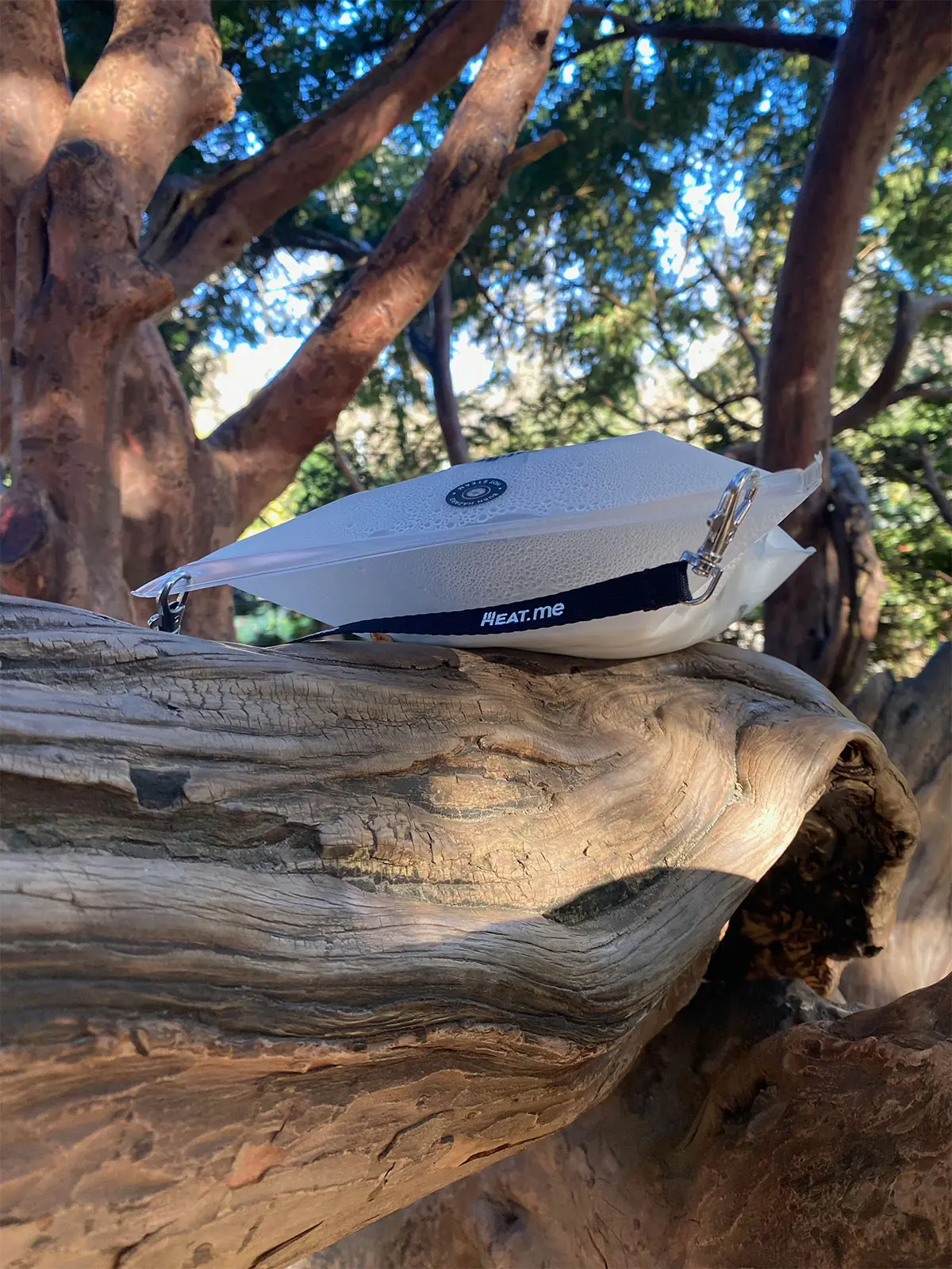 The lunch bag from the Lunchbox Kit was placed on a thick pine trunk to heat up lunch.
