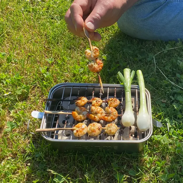 Barbecue on the lawn during the lunch break